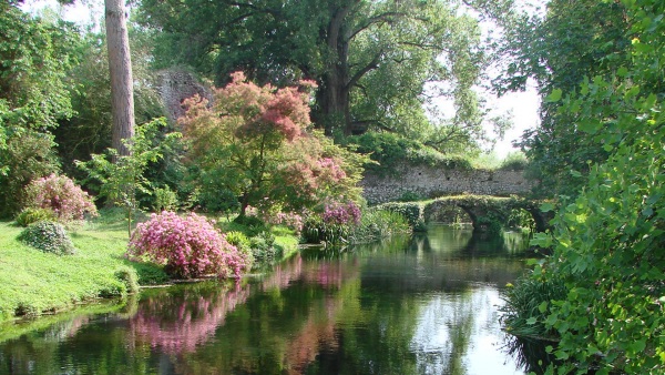 ninfa