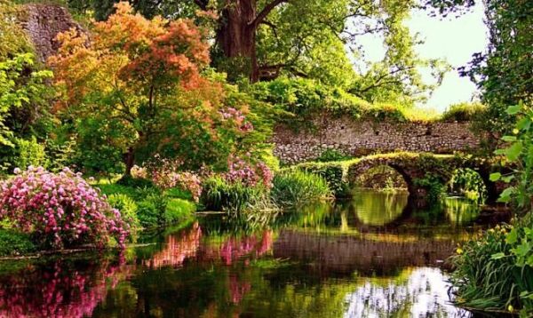NINFA2