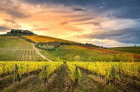 VALLE_DEL_CHIANTI1