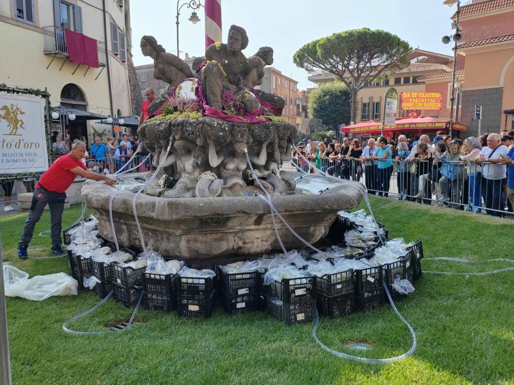 sagra_uva_3
