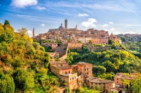 SIENA11