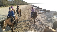 3-cavalli_in_spiaggia