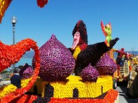 Festa-del-Tulipano3