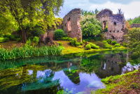 NINFA3