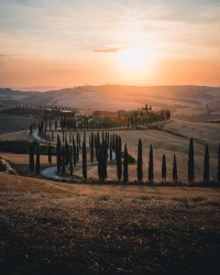 pexels-photo_1