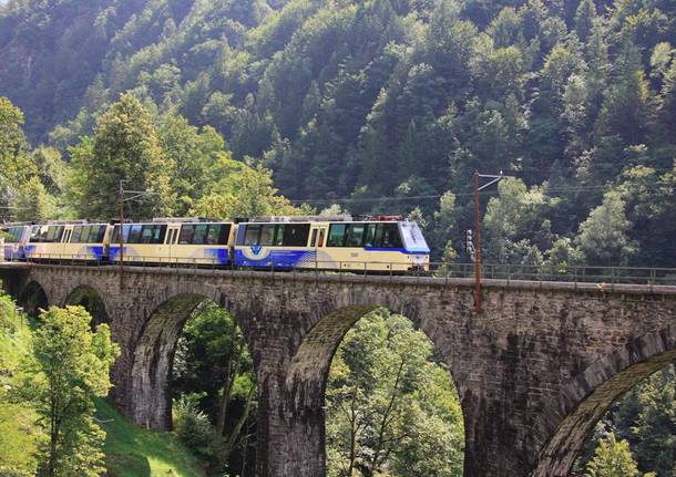 trenino21