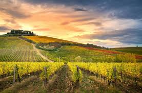 VALLE_DEL_CHIANTI